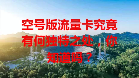 空号版流量卡究竟有何独特之处，你知道吗？