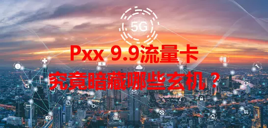 Pxx 9.9流量卡究竟暗藏哪些玄机？