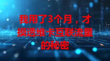 我用了3个月，才摸透维卡互联流量的秘密