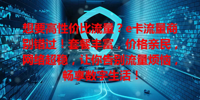 想要高性价比流量？e卡流量商别错过！套餐丰富，价格亲民，网络超稳，让你告别流量烦恼，畅享数字生活！