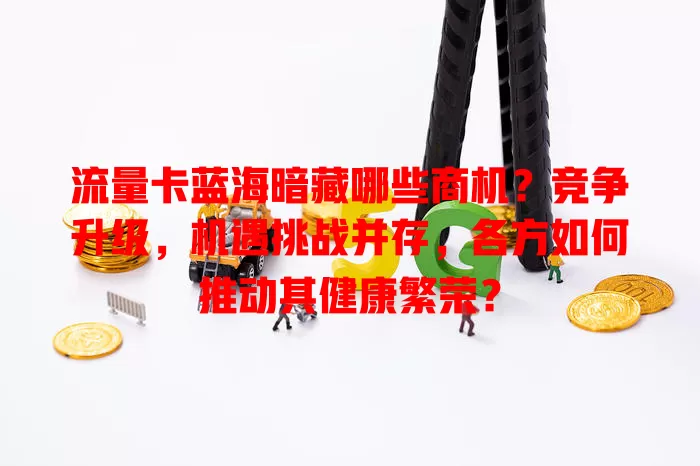 流量卡蓝海暗藏哪些商机？竞争升级，机遇挑战并存，各方如何推动其健康繁荣？