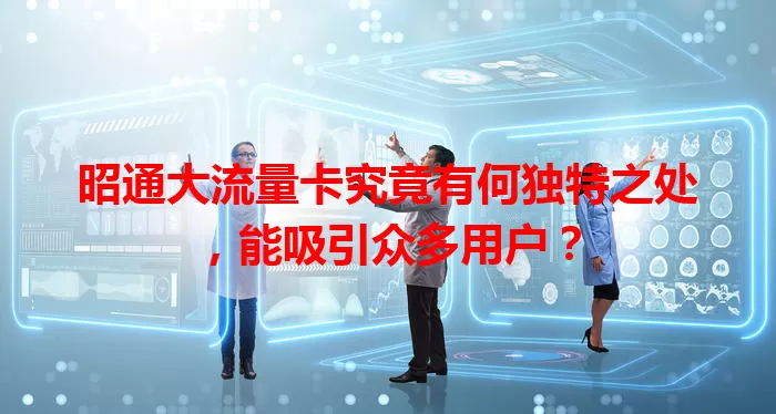 昭通大流量卡究竟有何独特之处，能吸引众多用户？