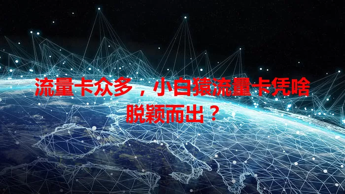 流量卡众多，小白猿流量卡凭啥脱颖而出？