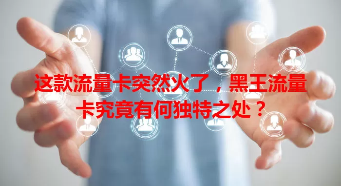 这款流量卡突然火了，黑王流量卡究竟有何独特之处？