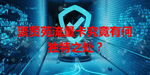聚贤苑流量卡究竟有何独特之处？
