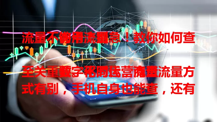 流量不够用？别急！教你如何查询卡流量

数字化时代，流量至关重要。不同运营商查流量方式有别，手机自身也能查，还有快捷指令。掌握查询方法，规划流量使用，让上网更顺畅，快按运营商和手机型号选合适方式吧！