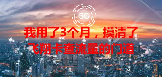 我用了3个月，摸清了飞翔卡查流量的门道