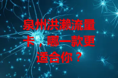 泉州洪濑流量卡，哪一款更适合你？