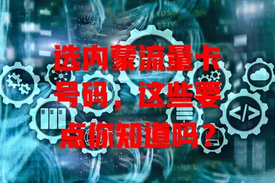 选内蒙流量卡号码，这些要点你知道吗？
