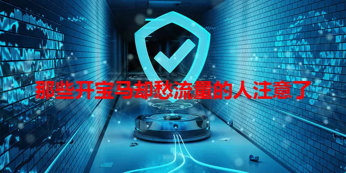 那些开宝马却愁流量的人注意了