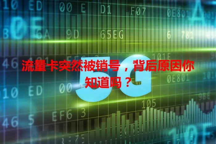 流量卡突然被销号，背后原因你知道吗？