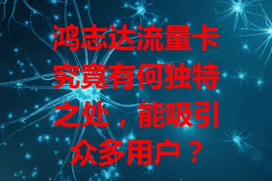 鸿志达流量卡究竟有何独特之处，能吸引众多用户？