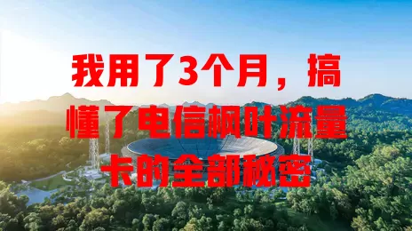 我用了3个月，搞懂了电信枫叶流量卡的全部秘密