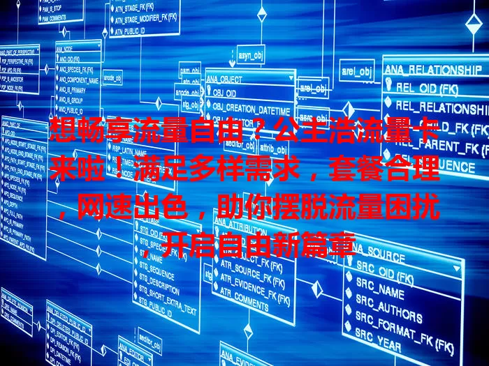 想畅享流量自由？公主浩流量卡来啦！满足多样需求，套餐合理，网速出色，助你摆脱流量困扰，开启自由新篇章