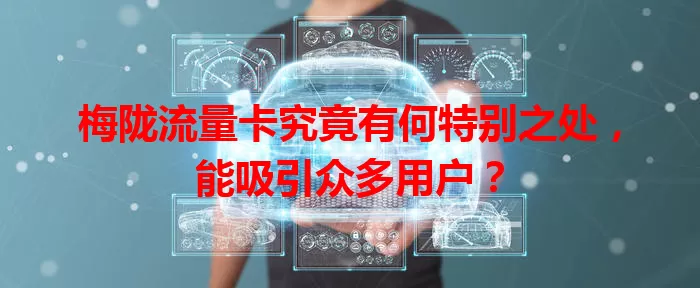 梅陇流量卡究竟有何特别之处，能吸引众多用户？