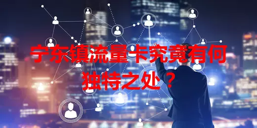 宁东镇流量卡究竟有何独特之处？