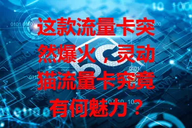 这款流量卡突然爆火，灵动猫流量卡究竟有何魅力？