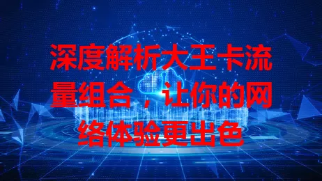 深度解析大王卡流量组合，让你的网络体验更出色