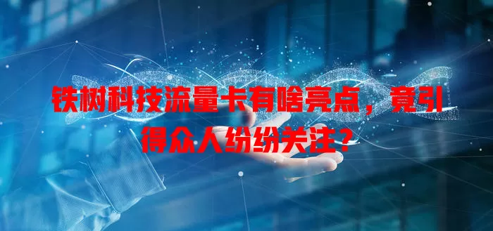 铁树科技流量卡有啥亮点，竟引得众人纷纷关注？