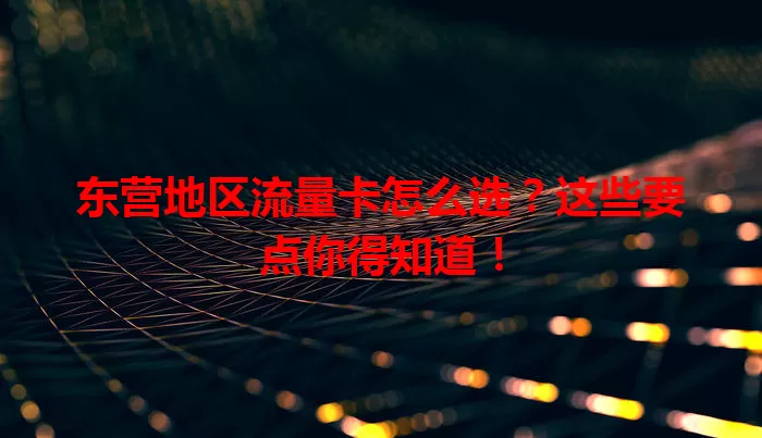 东营地区流量卡怎么选？这些要点你得知道！