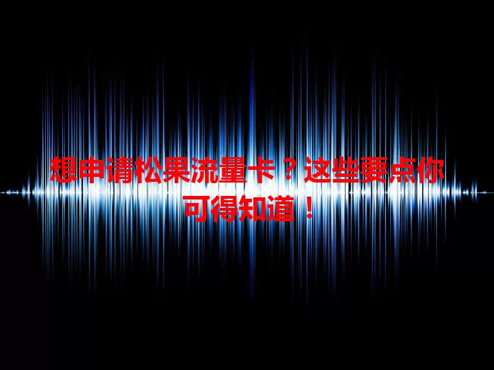 想申请松果流量卡？这些要点你可得知道！