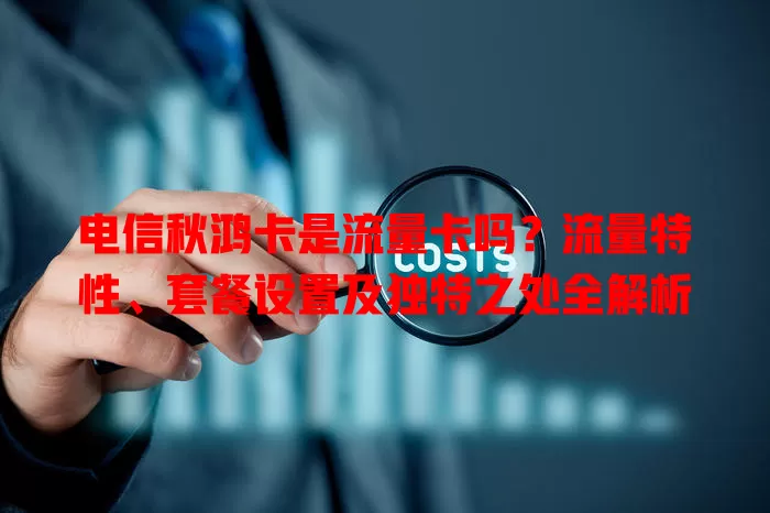 电信秋鸿卡是流量卡吗？流量特性、套餐设置及独特之处全解析