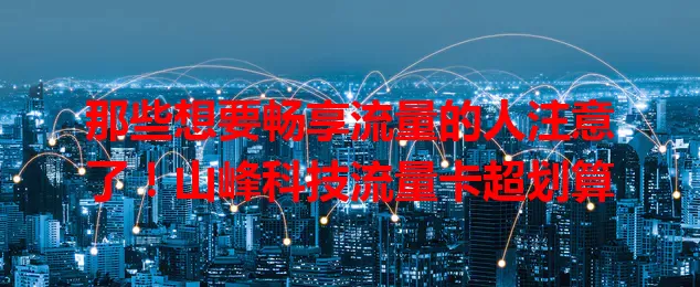 那些想要畅享流量的人注意了！山峰科技流量卡超划算