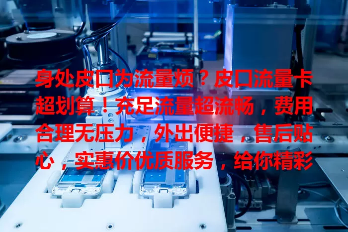 身处皮口为流量烦？皮口流量卡超划算！充足流量超流畅，费用合理无压力，外出便捷，售后贴心，实惠价优质服务，给你精彩上网体验！