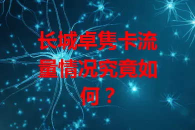 长城卓隽卡流量情况究竟如何？
