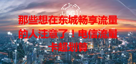 那些想在东城畅享流量的人注意了！电信流量卡超划算