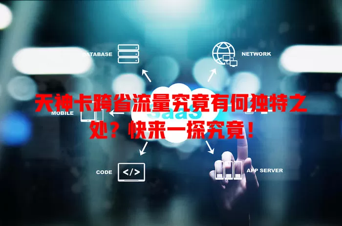 天神卡跨省流量究竟有何独特之处？快来一探究竟！