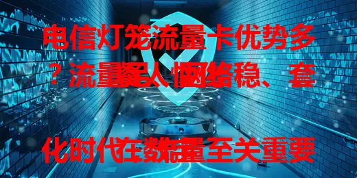 电信灯笼流量卡优势多？流量足、网络稳、套餐人性化！

在数字化时代，流量至关重要。电信灯笼流量卡成焦点，它延续电信稳定传统，流量可观，网络高速，套餐多样且人性化，服务专业，是值得信赖的流量卡选择。