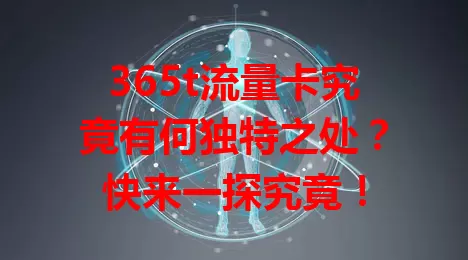 365t流量卡究竟有何独特之处？快来一探究竟！