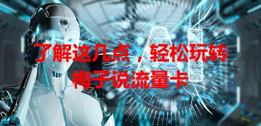 了解这几点，轻松玩转梅子说流量卡