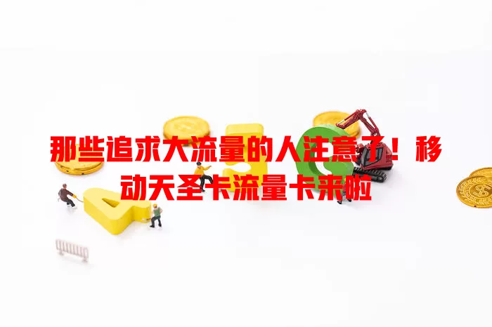 那些追求大流量的人注意了！移动天圣卡流量卡来啦