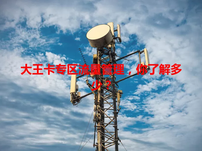大王卡专区流量管理，你了解多少？