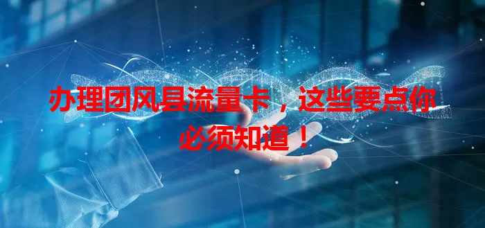 办理团风县流量卡，这些要点你必须知道！