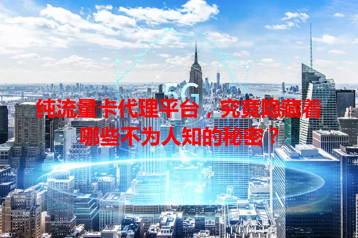 纯流量卡代理平台，究竟隐藏着哪些不为人知的秘密？