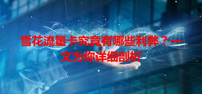 雪花流量卡究竟有哪些利弊？一文为你详细剖析