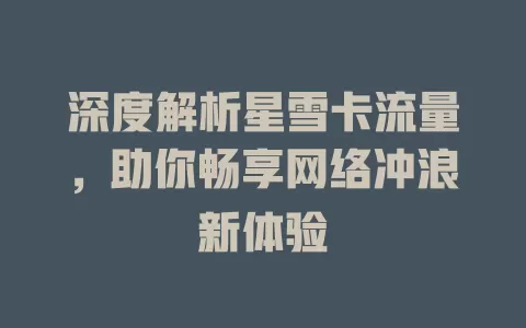 深度解析星雪卡流量，助你畅享网络冲浪新体验