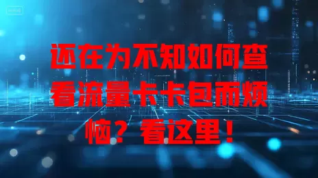 还在为不知如何查看流量卡卡包而烦恼？看这里！
