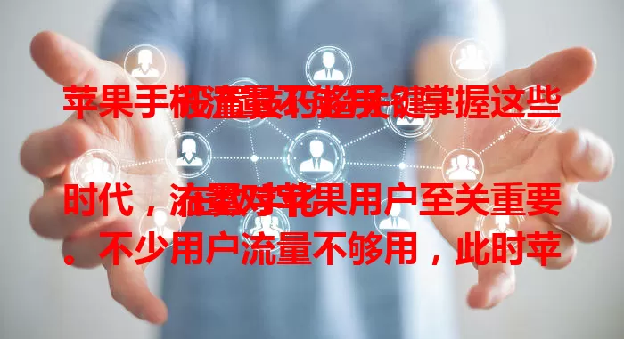 苹果手机流量不够用？掌握这些设置技巧超关键！

在数字化时代，流量对苹果用户至关重要。不少用户流量不够用，此时苹果设置卡流量就很关键。像调整蜂窝网络应用权限、关注系统更新、合理设置云服务及浏览器缓存等，掌握技巧从容应对流量问题。