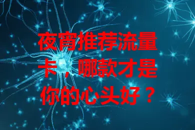 夜宵推荐流量卡，哪款才是你的心头好？