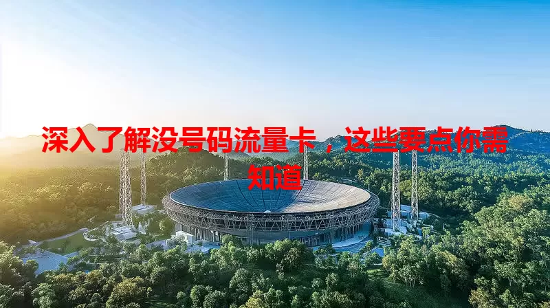 深入了解没号码流量卡，这些要点你需知道
