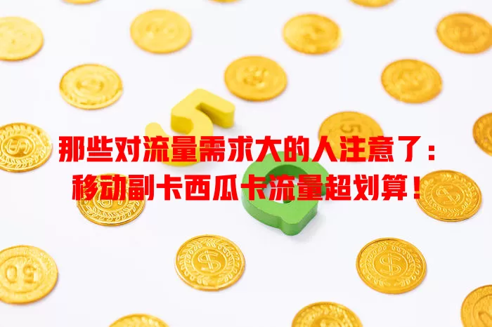 那些对流量需求大的人注意了：移动副卡西瓜卡流量超划算！