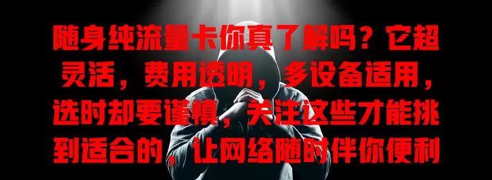 随身纯流量卡你真了解吗？它超灵活，费用透明，多设备适用，选时却要谨慎，关注这些才能挑到适合的，让网络随时伴你便利生活工作