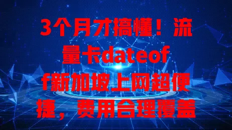 3个月才搞懂！流量卡dateoff新加坡上网超便捷，费用合理覆盖广