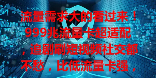 流量需求大的看过来！999兆流量卡超适配，追剧刷短视频社交都不愁，比低流量卡强，比高价位卡性价比高，满足一定流量需求超实用
