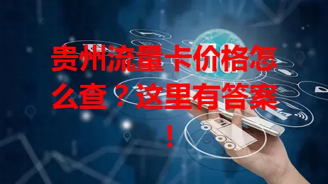 贵州流量卡价格怎么查？这里有答案！
