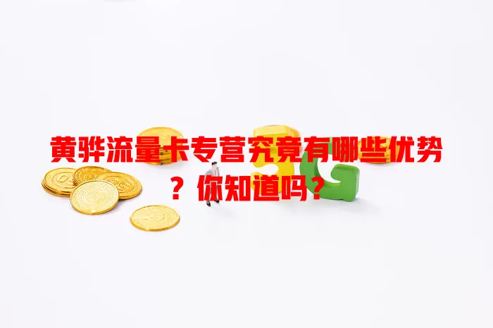 黄骅流量卡专营究竟有哪些优势？你知道吗？